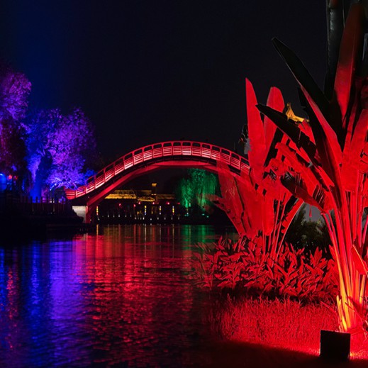 Landscape Lighting.jpg