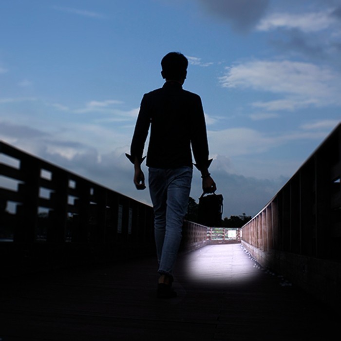 Solar Flood Lights For House